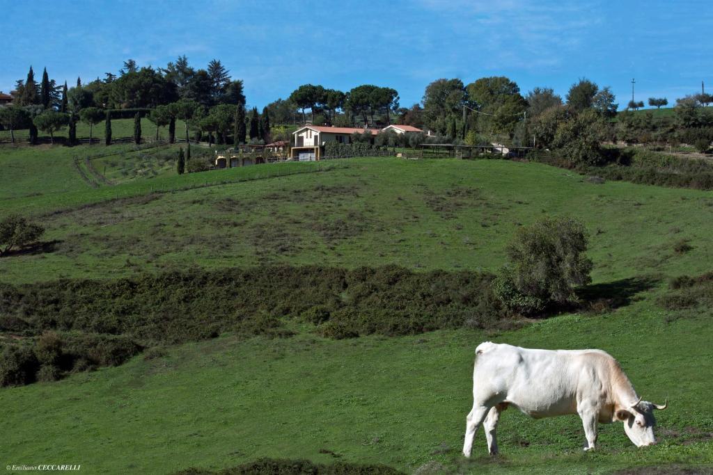 Willa Agriturismo Valle Siriaca Castelnuovo Di Porto Zewnętrze zdjęcie